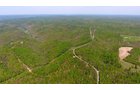 Property photo 3 - LAND AUCTION - 1,682+/- ACRES OFFERED IN 17 TRACTS IN LEWIS & GREENUP COUNTIES, KENTUCKY